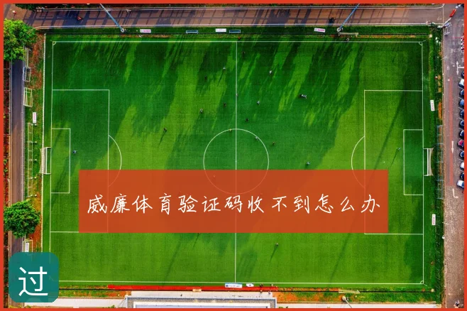 威廉体育验证码收不到怎么办